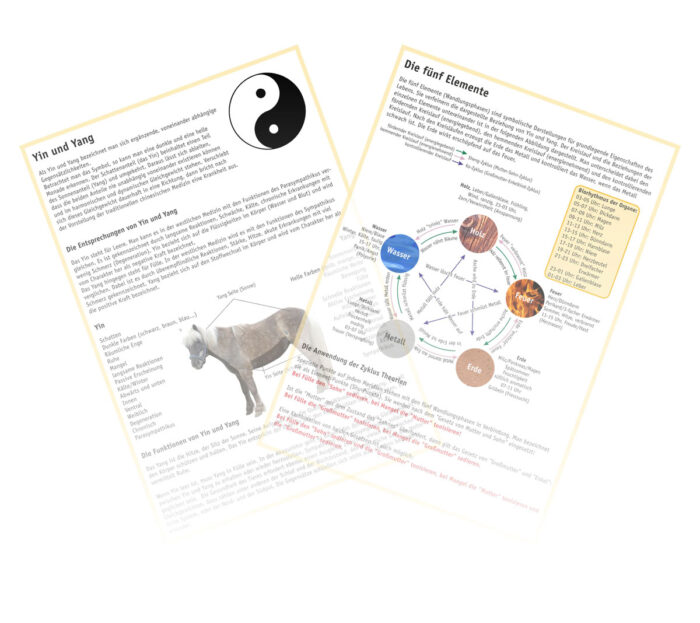 Yin und Yang - Die fünf Elemente